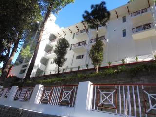 Himalayan Splendour Resort - Dhanaulti - 1