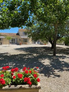 Le Domaine de Laforest - Fontvieille - 7