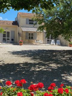 Le Domaine de Laforest - Fontvieille - 9