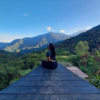 Miradores Del Oso Perezoso - 8