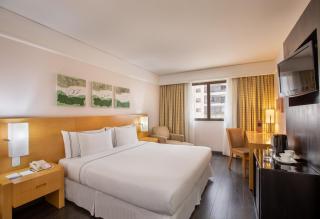 Meliá Campinas - Campinas - 0