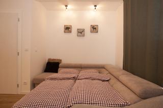 Apartman Jovanovic Kopaonik - Kopaonik - 2