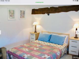 Maison Mai or La Petite Maison Mai or La Petite Grange or ALL three - La Chapelle-Urée - 4