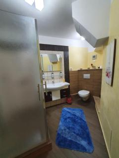 Casa Caprioara - Petroşani - 8