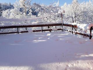 Biljevina - Saborsko - 3