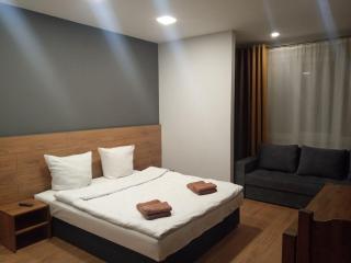 1-комнатная квартира ВИП уровня посуточно в Ужгороде. ул.Другетов - 9