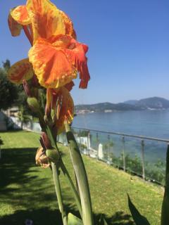 Villa Evita - 5