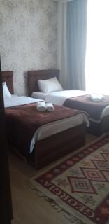 Hotel IVERIA - Kazbegi - 1