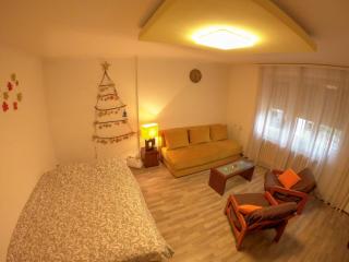 Nica Apartman Novi Sad - Novi Sad - 9