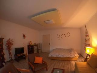 Nica Apartman Novi Sad - 6