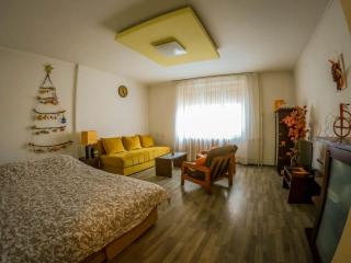 Nica Apartman Novi Sad - Novi Sad - 8