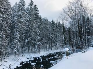 Apartments Traun-haft - 5