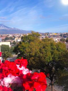 B&B Policlinico Gaspare Rodolico - Catania - 6