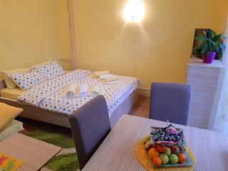Apartman Sladja - 9