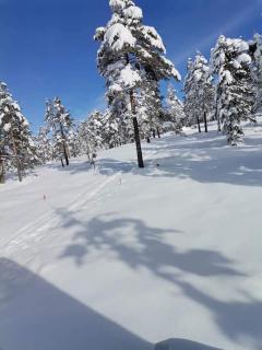 Apartmani MILOSAVLJEVIĆ Divčibare - 3