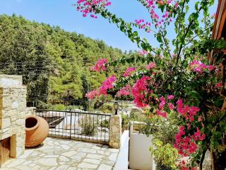 Blue Cottage - Apsiou - 8