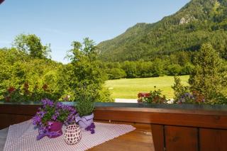 Ferienwohnung Hinterreiter inkl. Chiemgaukarte - Ruhpolding - 4