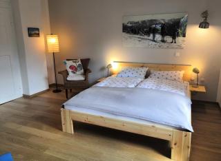 Haus Erika 1911 - Alpspitze - 7