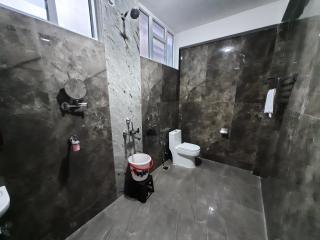 Hosamane Farm Inn - Sringeri - 5