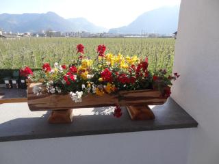 Apartments Klotz - Bozen - 3