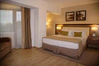 New Egreta Resort - Dunavăţu de Jos - 4