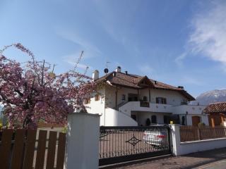 Apartments Klotz - Bozen - 5