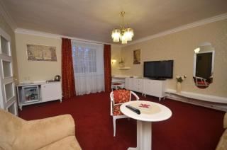 Hotel Ostrov - 6