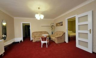 Hotel Ostrov - 4