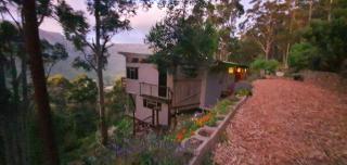 Cabin in da Woods - 1