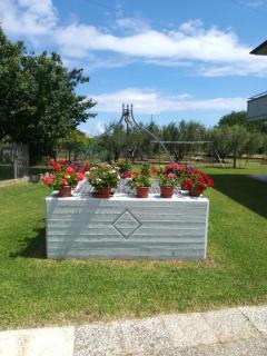 Da Dany - Monte San Vito - 9