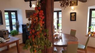 Pokoje Gościnne Art- Dworek - 6