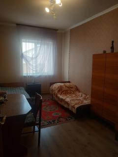 GuestHouse ED&ER near airport - Geghanist - 7