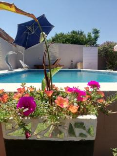 Apart portal de la selva - 5