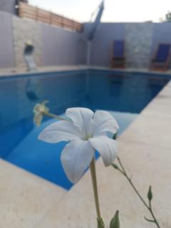 Apart portal de la selva - 2