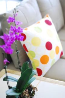 Green Window Homestay綠窗小築天安居民宿 - Città di Hualien - 1