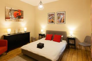 Chic Apartment in Historical City Center - Timişoara - 9
