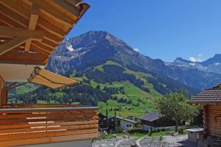 Ferienwohnung Gartenweg - Adelboden - 2