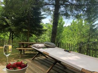 Camping Moulin De Chaules - Saint-Constant - 6