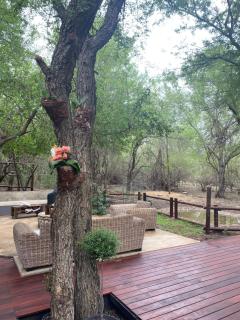 InniBos Marloth Park - Marloth Park - 8