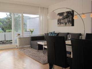 Appartement Panoramablick - Baden-Baden - 9