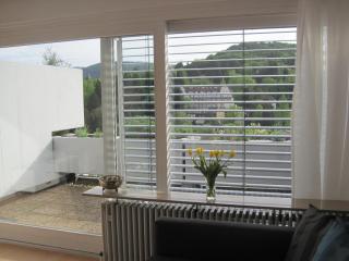 Appartement Panoramablick - Baden-Baden - 8