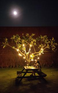 Arthigamya Spa & Resort - Gokarna - 5