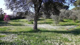 Confortevole monolocale in villa - Bracciano - 4