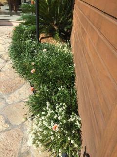 Hotel Morada dos Pinheiros - 3