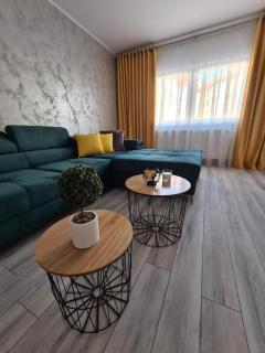 Apartament Central Iulia - Sibiu - 9