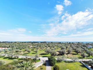Villa Olive Grove - Afandou - 1