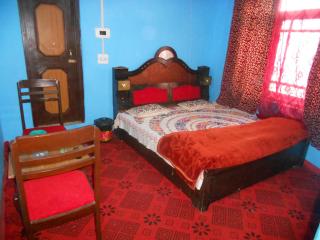 Alamdar guest house - 3