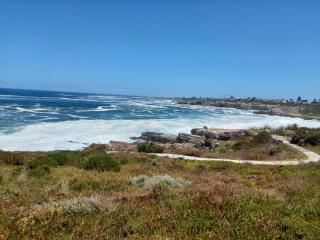 The Sun, Whales & Waves - Seafront Apartment - Hermanus - 7