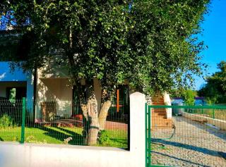 Villa Oasis - 2