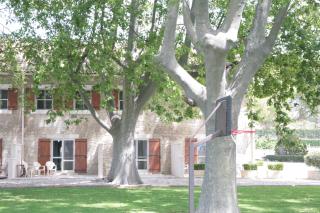 Le Domaine de Laforest - Fontvieille - 3